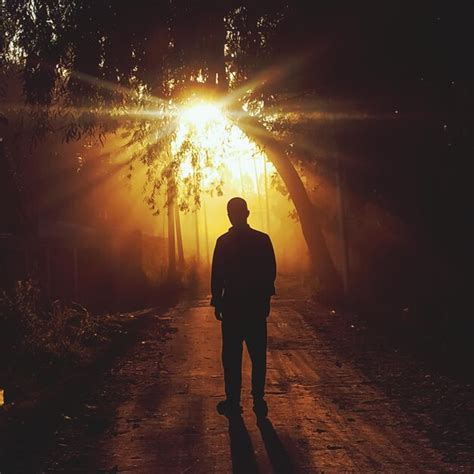 Premium Photo Rear View Of Silhouette Man Walking On Street During Sunset