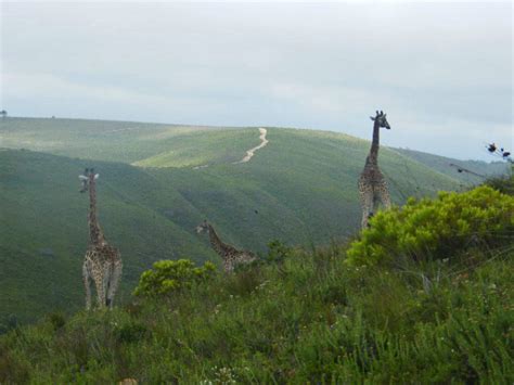 Find the reviews and ratings to know better. Travelettes » My 10 most cherished holiday memories ...