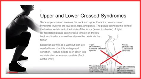 Spine Wise Exercise For Optimum Function And Movement Liberation
