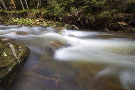 Fast Flowing Through Wild Green Forest River With Crystal Clear Smooth