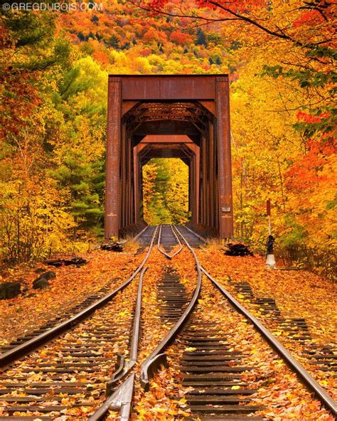 Train Trestle And Fall Foliage In White Mountains New Hampshire Two