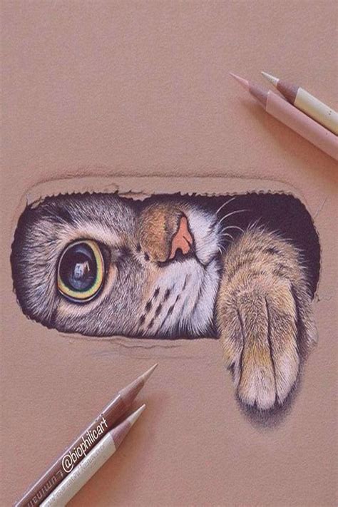 Posted in pictures 26 aug 2009 27599 5 gallery view. Cat Drawing 3d 3d things to draw in 2020 | Cat art ...