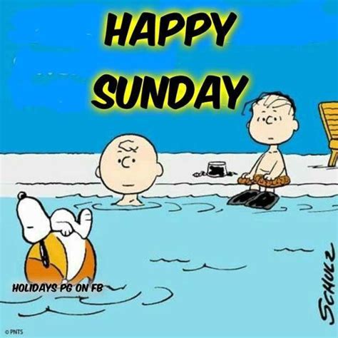 Happy Sunday Happy Sunday Snoopy And Friends Charlie Brown Quotes