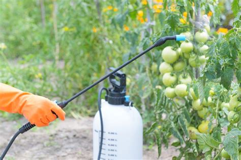 10 Natural Homemade Insecticides That Wont Hurt Your Garden The