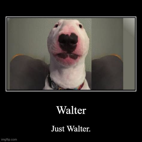 Walter Imgflip