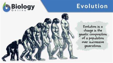 Evolution Definition And Examples Biology Online Dictionary