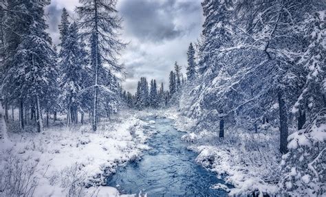 Wallpapers Canada Quebec Nature Stream Winter Forests Trees Winter