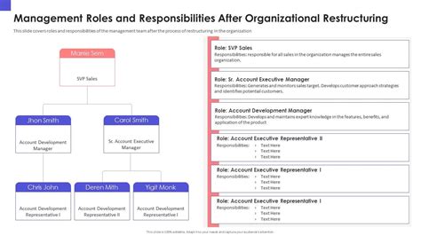 Organizational Chart And Business Model Restructuring Project Roles And