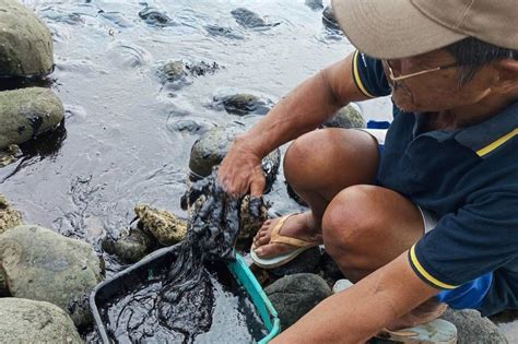 212 Residente Nagpakita Ng Oil Spill Related Symptoms Sa Or Mindoro Abs Cbn News