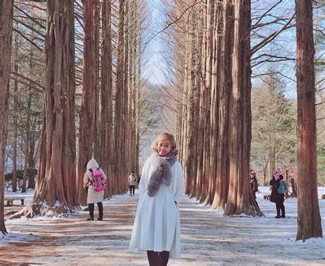 You will feel freedom than scheduled shuttle bus. An amazing day trip to Nami Island - Local Insider by ...