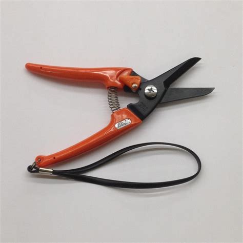 We've collated the best and easiest tips to give them a helping hand as soon as they arrive to look their best. Cut Flower Shears - Light weight and easy to use - The ...