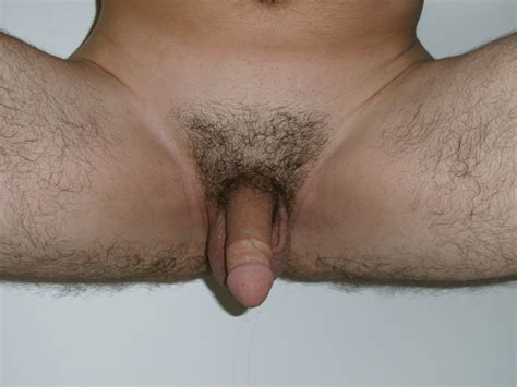 File Pubic Hair Trimmed Wikimedia Commons