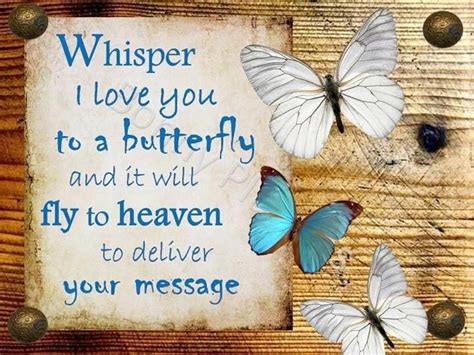 Message To Heaven Butterfly Quotes Memories Quotes Bird Quotes