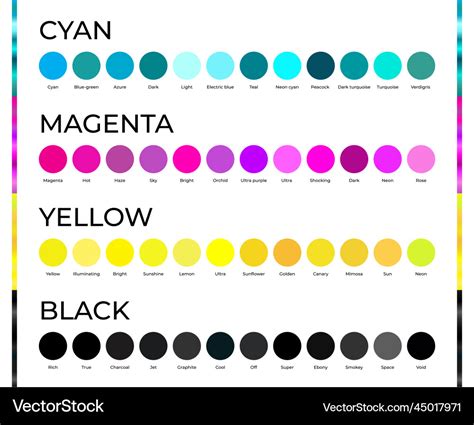 Round Cyan Magenta Yellow And Black Cmyk Color Vector Image