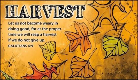 Pinterest Happy Fall Quotes Happy Fall Thanksgiving Scripture