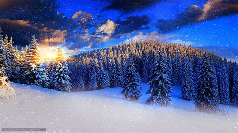 下载壁纸 日落 冬天 雪 树 免费为您的桌面分辨率的壁纸 2560x1440 — 图片 №618310