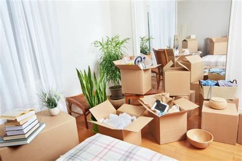 4 Ways To Avoid Moving Day Mishaps David Wilson Homes