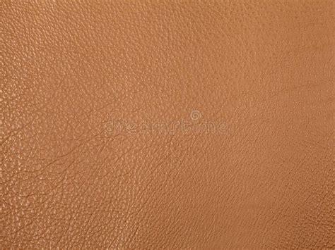 Light Brown Leather Texture Background Stock Image Image Of Style