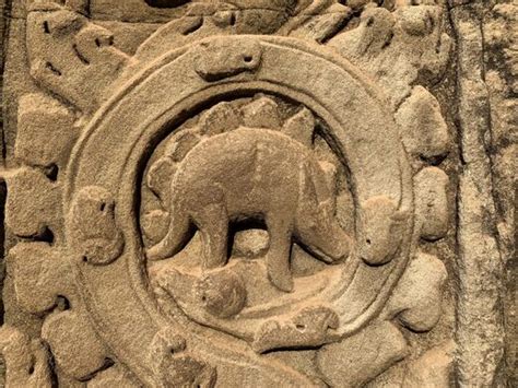 The Dinosaur Of The Ancient Temple Of Ta Prohm Cambodia