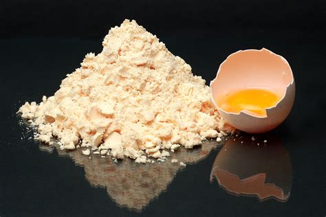Pasteurized Whole Egg Powder Wep Infood