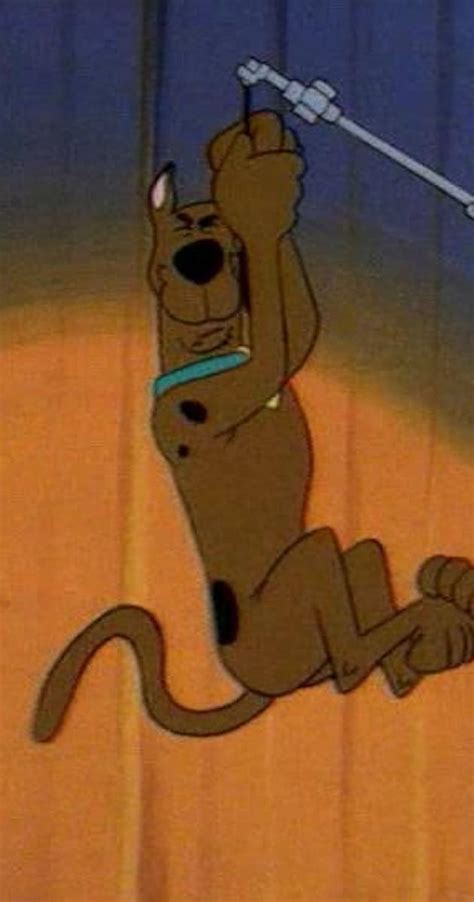 The New Scooby Doo Mysteries Happy Birthday Scooby Doo Tv Episode