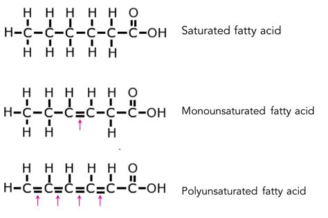 Triglycerides Saturated And Unsaturated