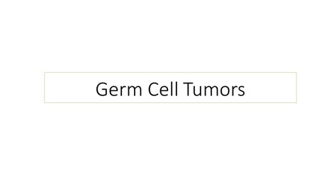 Study Guide Germ Cell Tumors Hematology Oncology Study Questions
