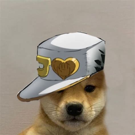 Dog With Hat Jojo Jotaro 4 Part Jojo Memes Dog Icon