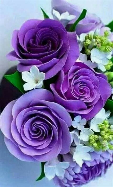 Pin By Christine Heartz On Say It With Roses Love Flowers Purple