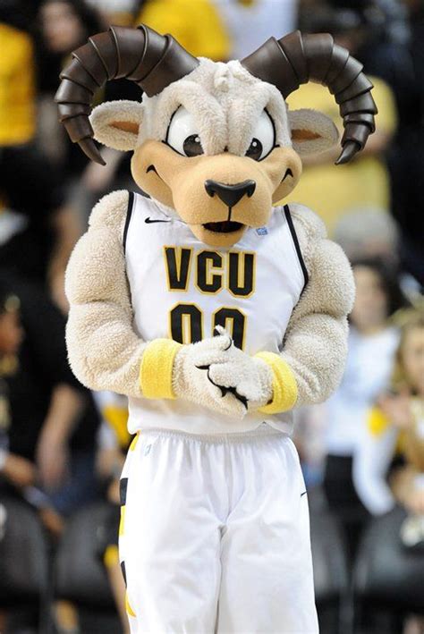 Vcu Rodney The Ram Mascot On The Floor During A College Basketball Game