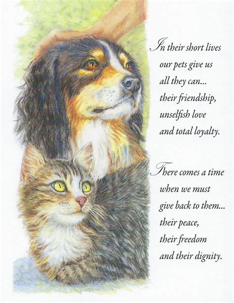 Veterinary Wisdom S81 Pet Sympathy Card