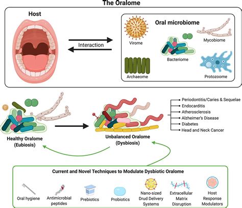 The Oralome And Its Dysbiosis New Insights Into Oral Microbiome Host
