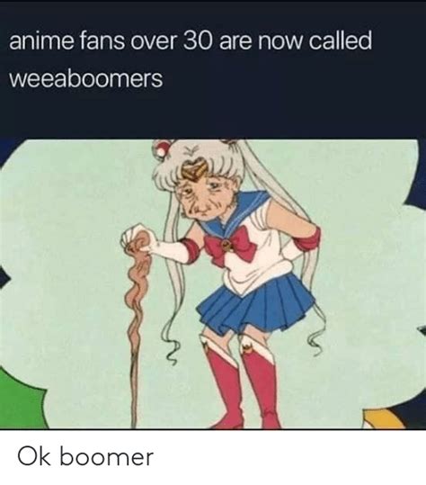 Anime Fans Over 30 Are Now Called Weeaboomers Ok Boomer Anime Meme On