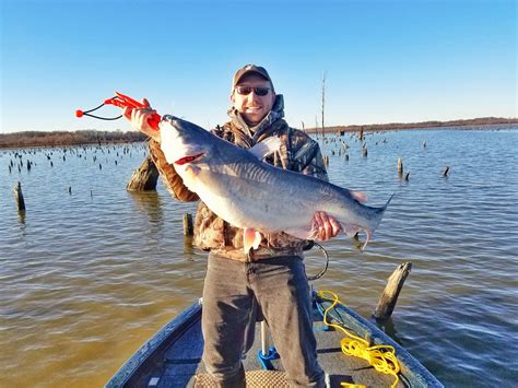Macon city lake fish attractors map 150.24 kb. Those Bottom Blues - Truman Lake Blue Catfish - Mahoney ...