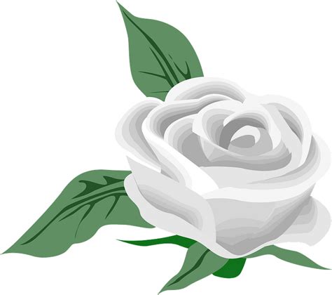 White Rose Clipart Free Download Transparent Png Creazilla