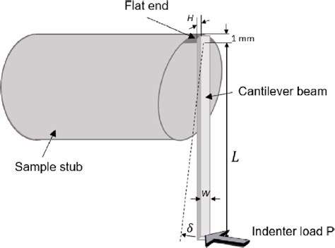 A Schematic Of The Cantilever Beam With The Length Of L Fixed At One