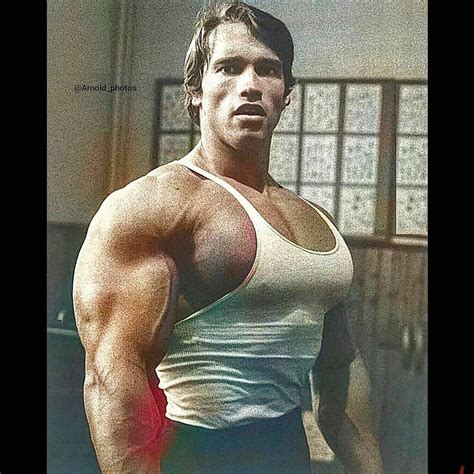 Pin By Petr Hering On Kulturista Arnold Schwarzenegger Bodybuilding