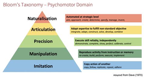 Psychomotor Domain Images