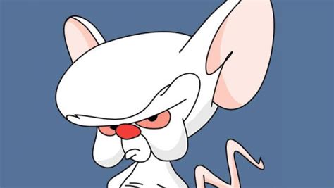 They're laboratory mice their genes have been spliced they're dinky they're pinky and the brain, brain, brain, brain brain, brain, brain, brain brain. Phil Edwards - Trivia Happy