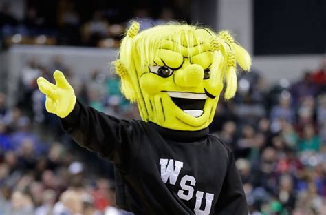 Wichita State Volleyball Flying High In The Air Capital