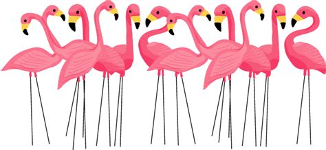 Christmas Flamingo Clipart 10 Free Cliparts Download Images On