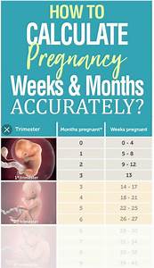 How To Calculate Pregnancy Week By Week Months Accurately Artofit