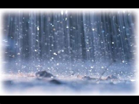 لا تتوفر فيديوات في الجزء الذي اخترته.‏‏ عذرا، حصلت مشكلة عند تشغيل الفيديو.‏ المطر. تفسير حلم المطر في المنام - حنين الحب