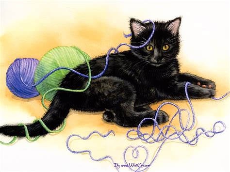 Black Fun Hd Cat Playing Mischief Learning Knit String 480p
