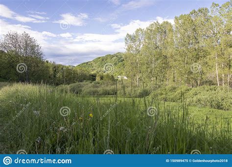 Landscape Of Mountains Sky Clouds And Forests Stock Image Image Of