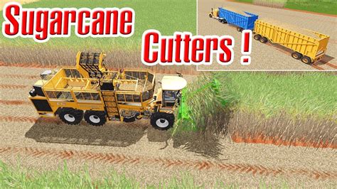 Farming Simulator 17 Fantastic Sugarcane Cutters Harvesting