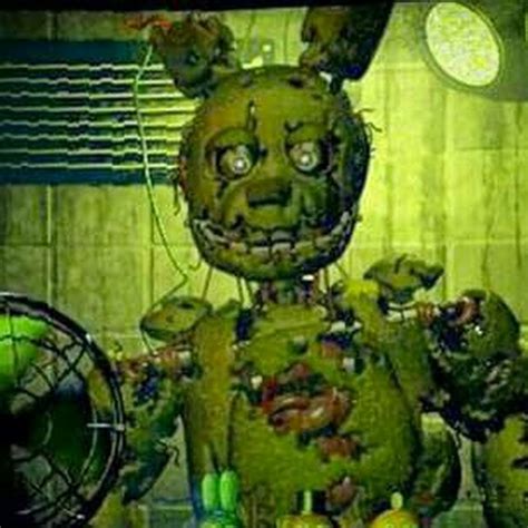 Spring Trap Youtube