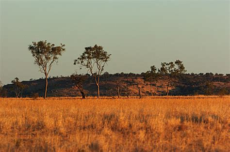 Australias Outback Kyuna Landscape Photography