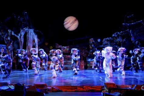 Welcome To The Jellicle Ball A Feline Friendly Guide To Cats The Musical