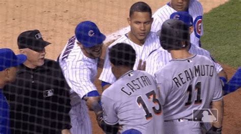 Kris Bryant Tickles Starlin Castro In Cubs Marlins Fight Video